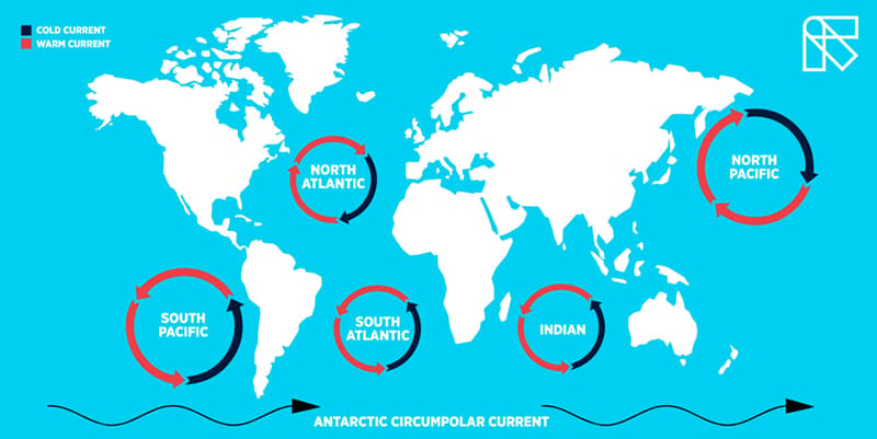 Infographic Antarctic circumpolar current